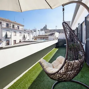 Atico Catedral Con Parking Granada