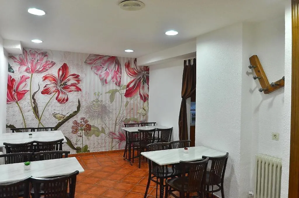 Pensión Hotel Residencia Ziri Granada